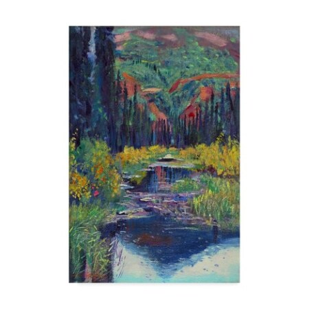 David Lloyd Glover 'A Raindrop Pond' Canvas Art,30x47